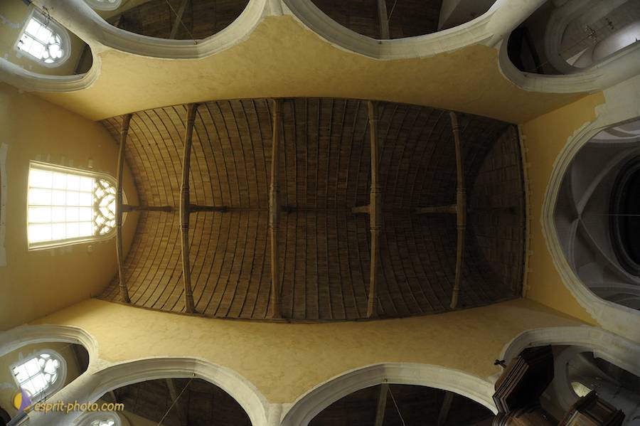 Nom de l'image : D30080474_1_(c)Norbert-JUNG — Description :